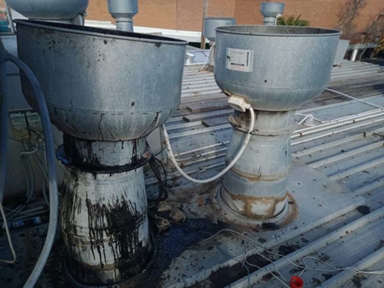 Commercial Canopy Cleaning Company In Adelaide